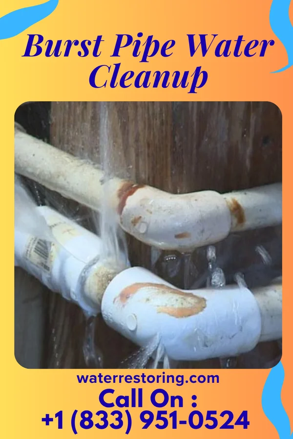 Burst Pipe Water Cleanup in Drexel, NC