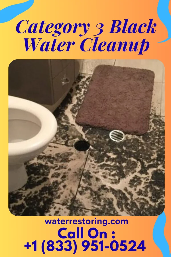 Category 3 Black Water Cleanup in Drexel, NC