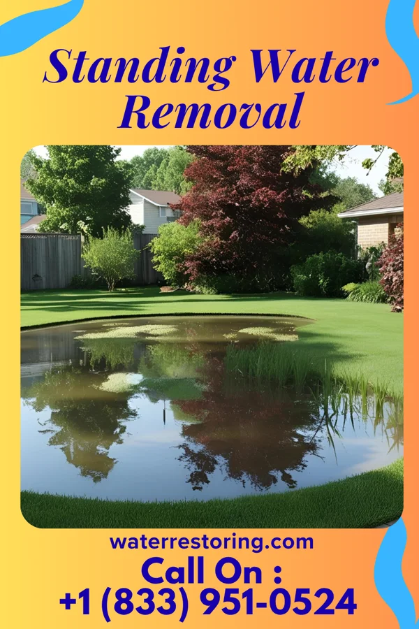 Standing Water Removal in Drexel, NC